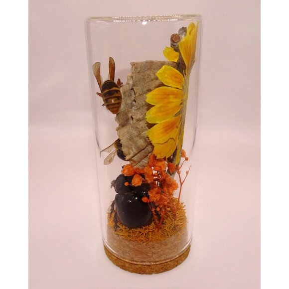 Wasp Nest Hornet Bees Rhinoceros Beetle Cicada Skin Oddity Jar flowers taxidermy - Picture 6 of 13